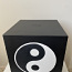 Hoiupõrsas yin yang (foto #3)
