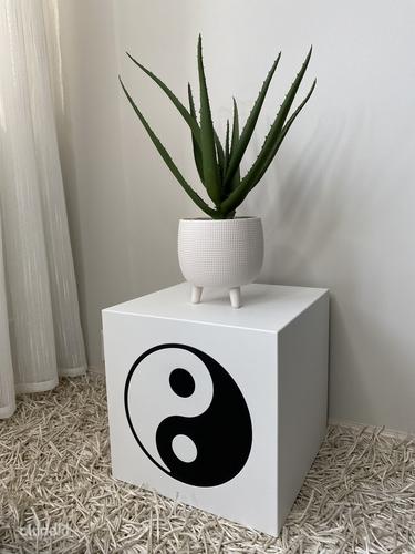 Interjööri kuubik Yin Yang, disainer erinevates suurustes (foto #3)