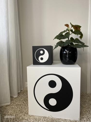 Interjööri kuubik Yin Yang, disainer erinevates suurustes (foto #10)