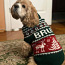 Тёплые свитера для собак (фото #2)