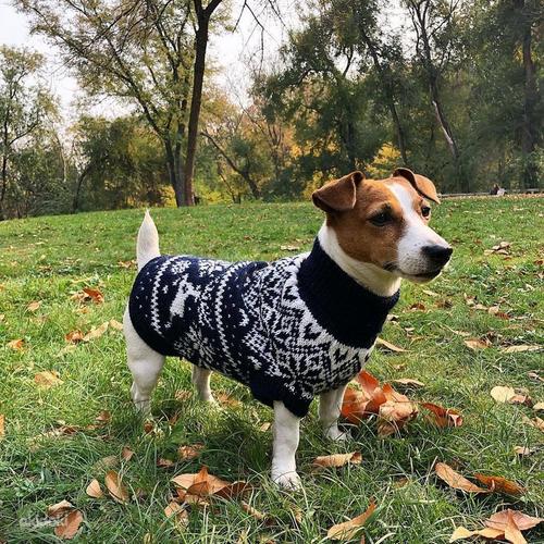 Тёплые свитера для собак (фото #4)