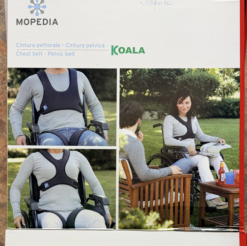 Vest ratastoolikasutaja