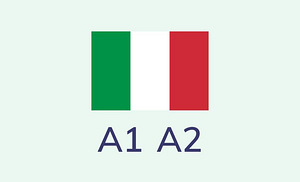 Itaalia keel (veebis)
